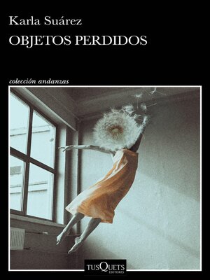 Objetos perdidos - ebook